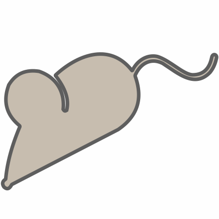 myši
